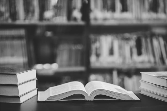 zayed university master of law