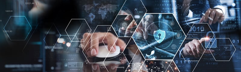 shutterstock_2381551119